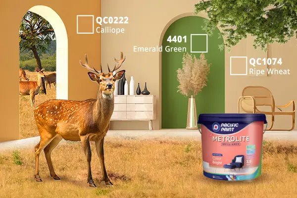 <p>PACIFIC PAINT&nbsp;</p>